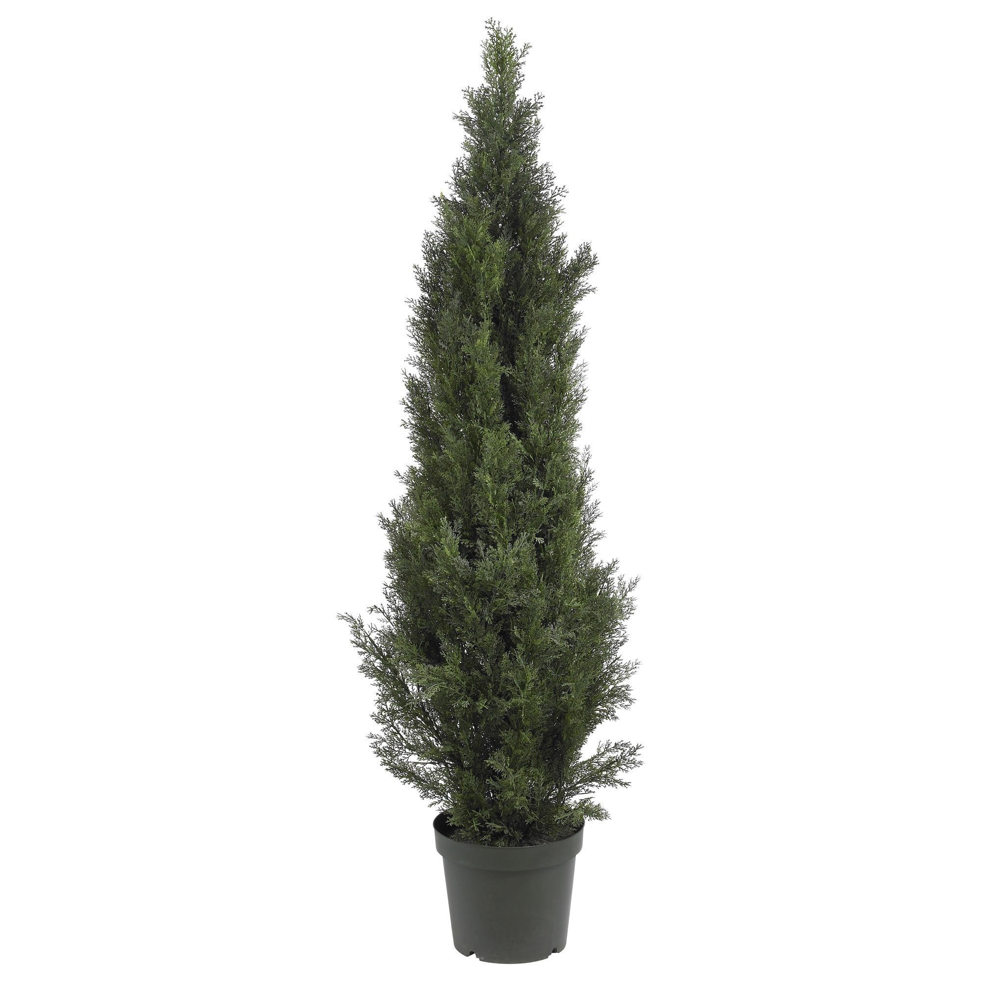 Nearly Natural 3.5 ft. Indoor/Outdoor Mini Cedar Artificial Pine