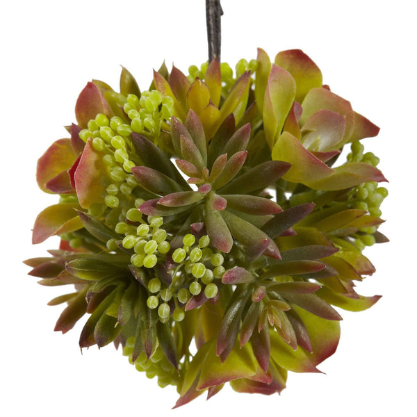 5” Mixed Succulent Hanging Ball (Set of 3)