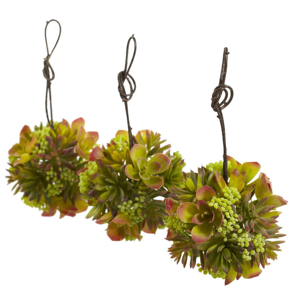 5” Mixed Succulent Hanging Ball (Set of 3)