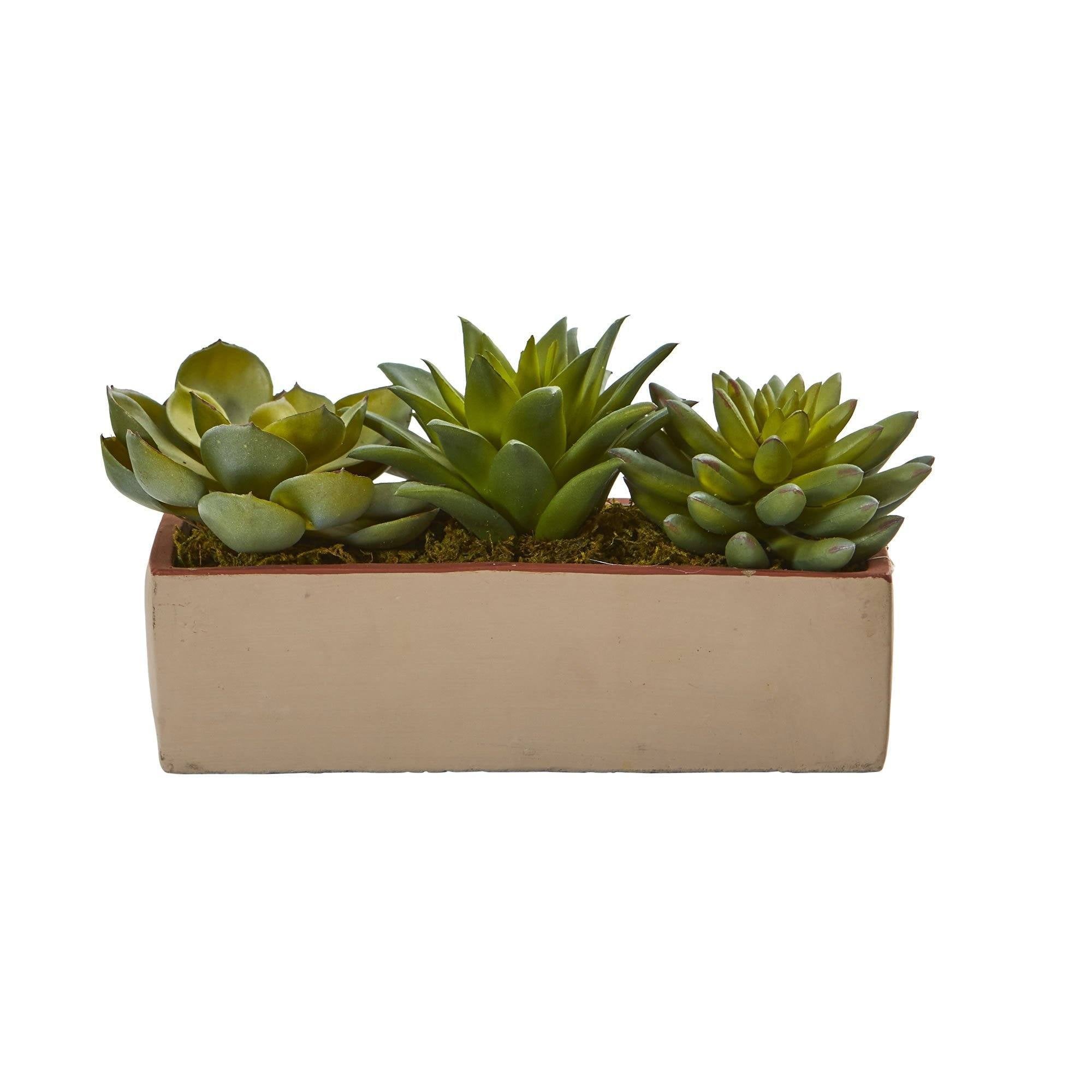 long faux succulent planter 5” Mixed Succulent Pot