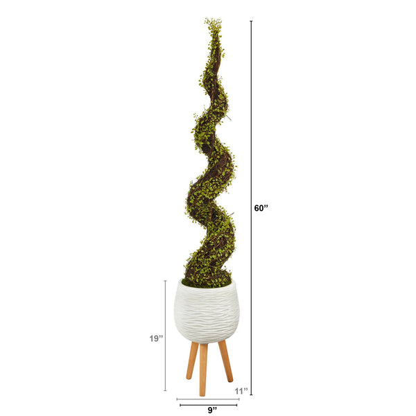 5’ Mohlenbechia Spiral Artificial Tree in White Planter with Stand