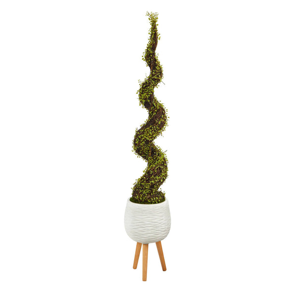 5’ Mohlenbechia Spiral Artificial Tree in White Planter with Stand