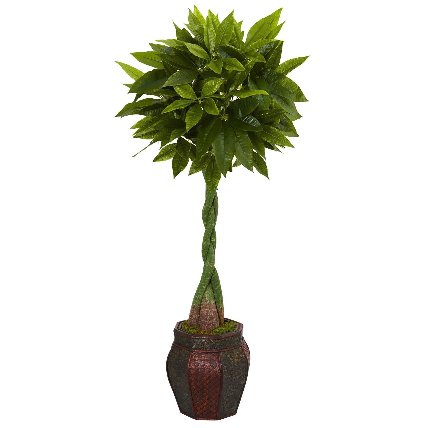 5’ Money Artificial Tree in Decorative Planter