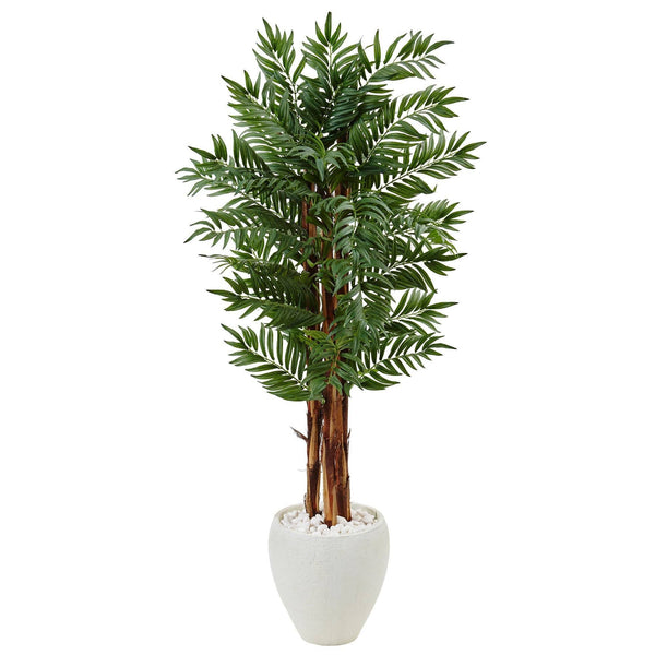 5’ Parlor Palm Tree in White Oval Planter