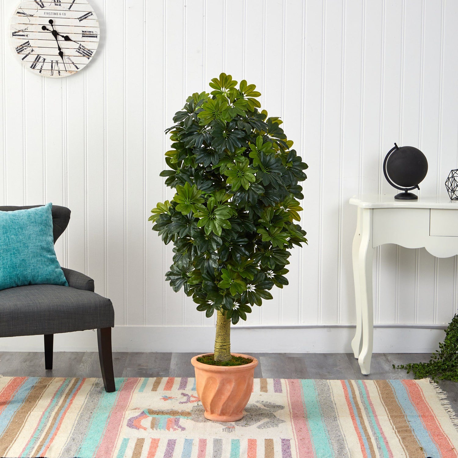 5' Schefflera Artificial Tree in Terra-Cotta Planter (Real Touch)