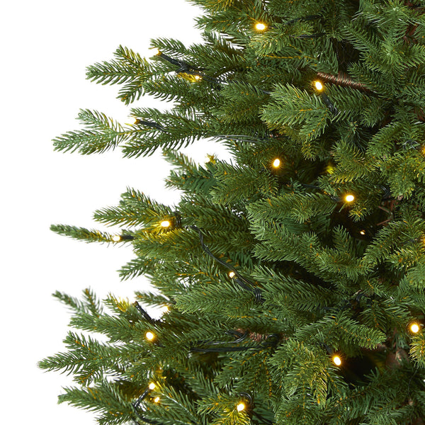 5’ Wyoming Spruce Artificial Christmas Tree with 300 Clear LED Lights and 773 Bendable Branches