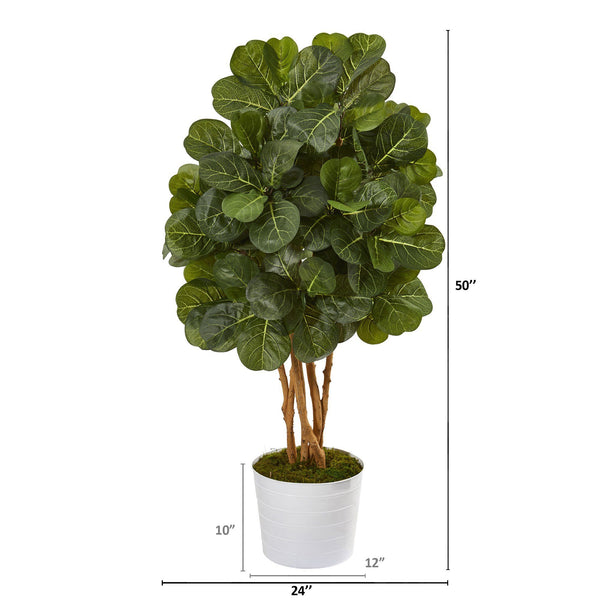 50” Fiddle Leaf Fig Artificial Tree in White Tin Planter