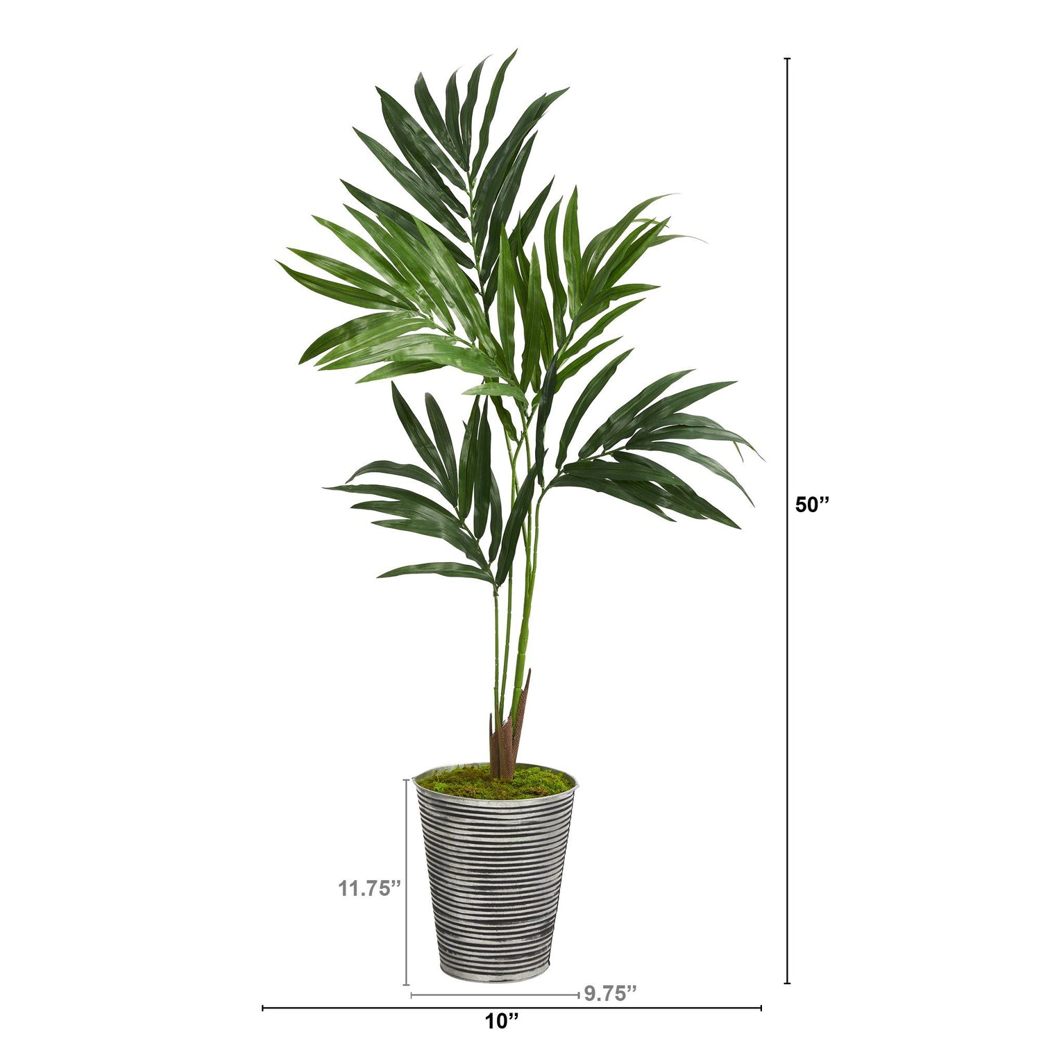 50” Kentia Artificial Palm Tree in Decorative Tin Planter