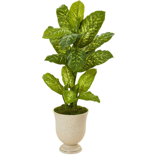 52” Dieffenbachia Artificial Plant in White Urn (Real Touch)
