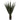 52” Giant Agave Plant