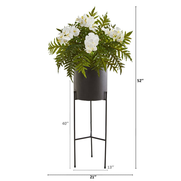 52” Phalaenopsis Orchid and Fern Plant in Black Planter
