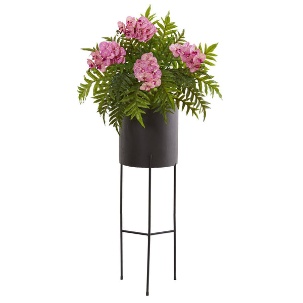 52” Phalaenopsis Orchid and Fern Plant in Black Planter