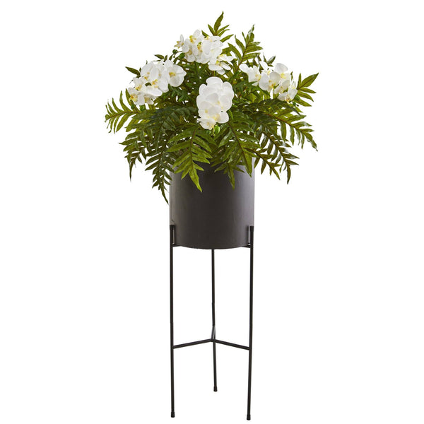 52” Phalaenopsis Orchid and Fern Plant in Black Planter