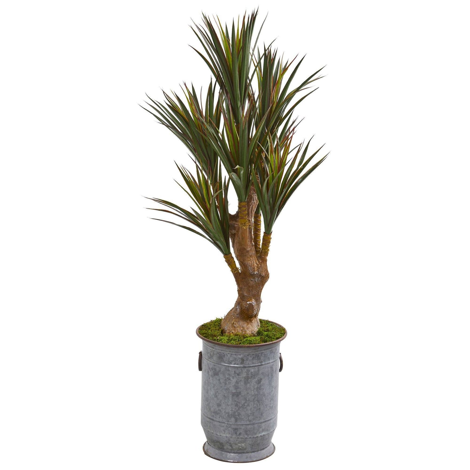 52” Yucca Artificial Tree in Planter (Indoor/Outdoor)
