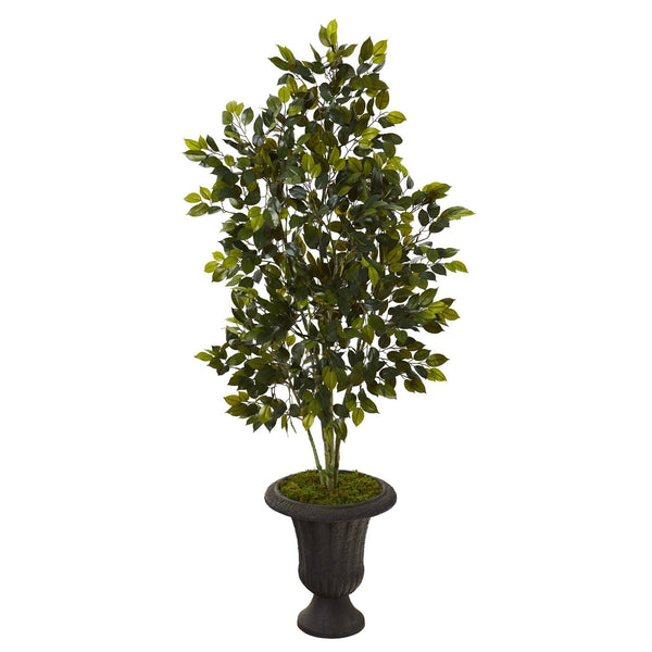 53” Ficus Artificial Tree in Charcoal Urn