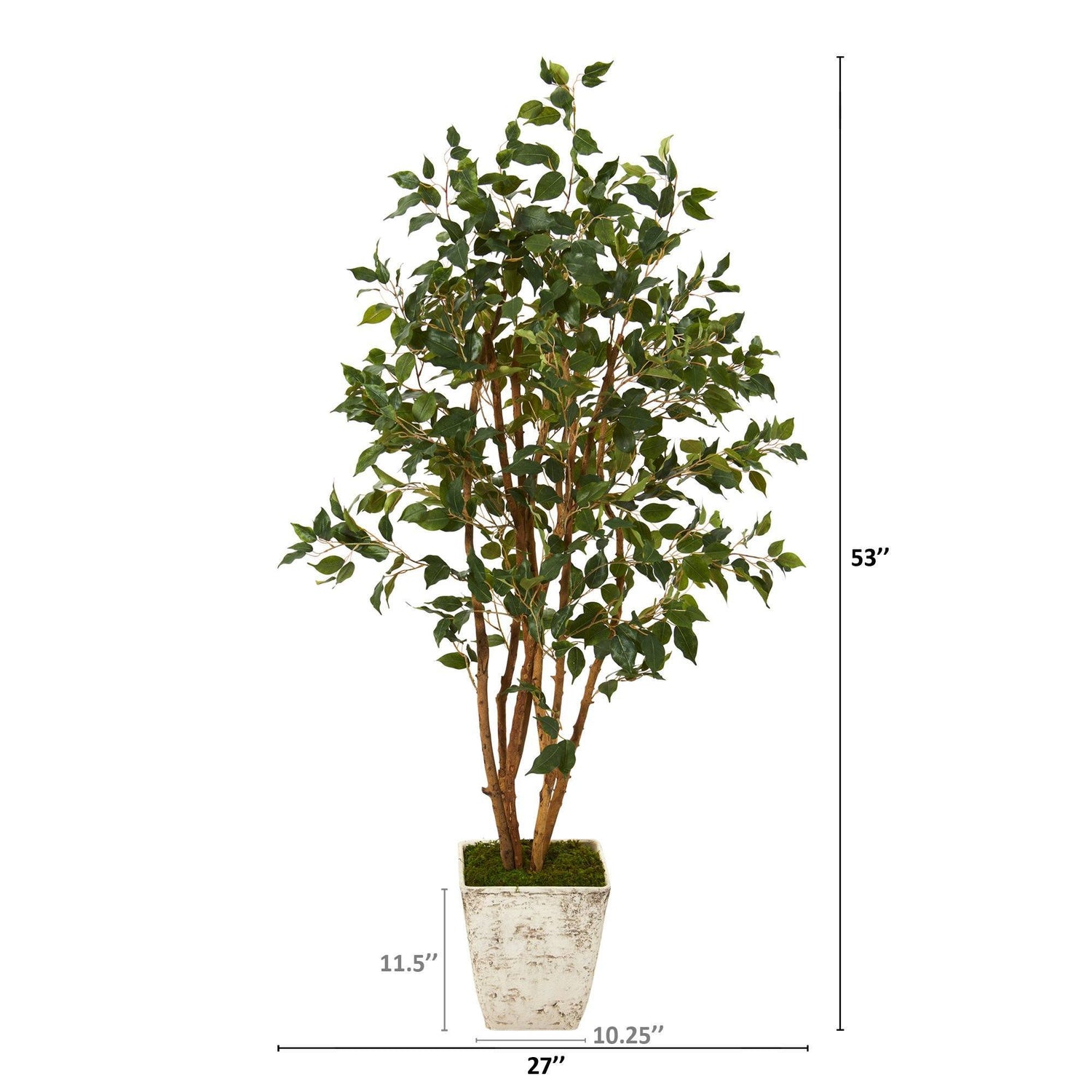 53” Ficus Artificial Tree in Country White Planter