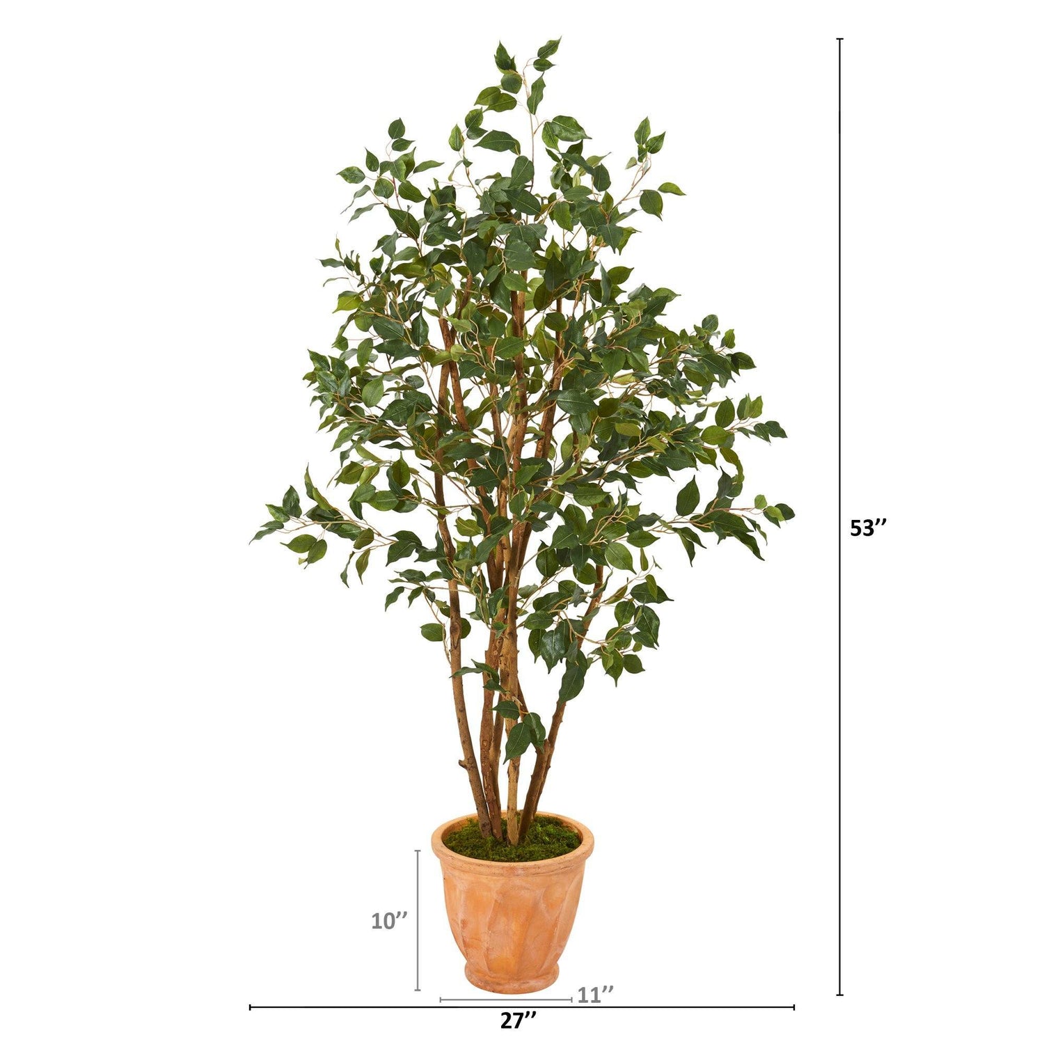 53” Ficus Artificial Tree in Terra-Cotta Planter