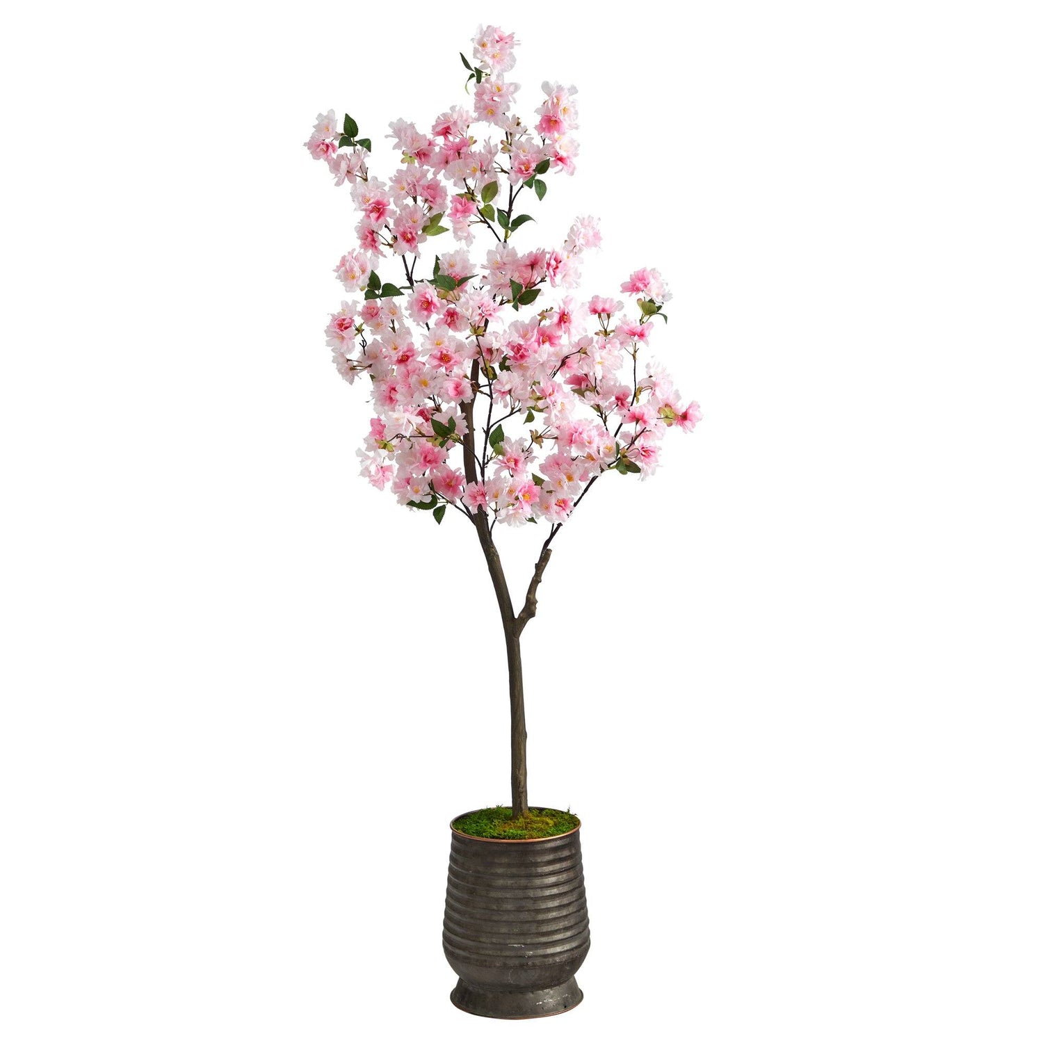 5.5’ Cherry Blossom Artificial Tree in Ribbed Metal Planter