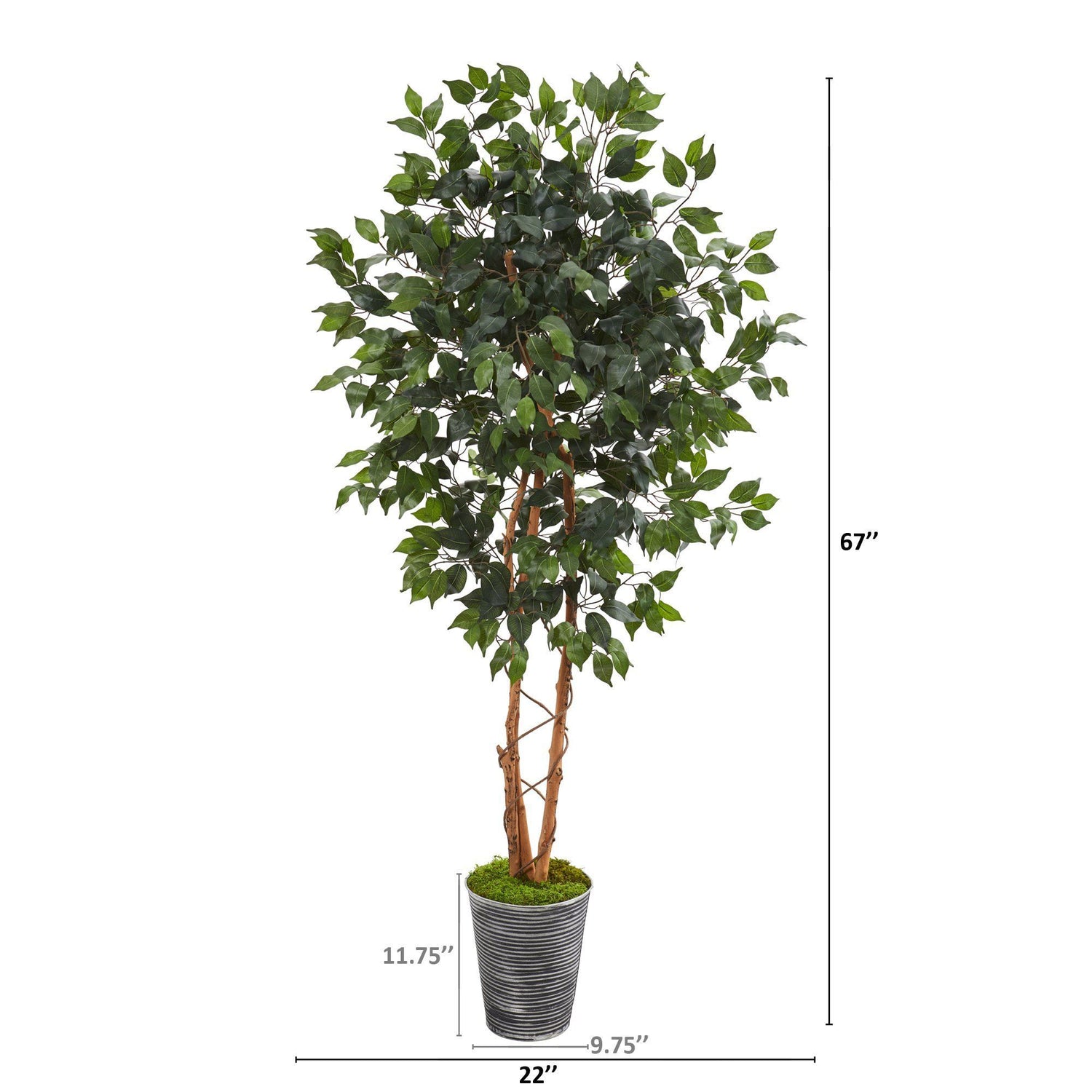 5.5’ Ficus Artificial Tree in Decorative Tin Planter