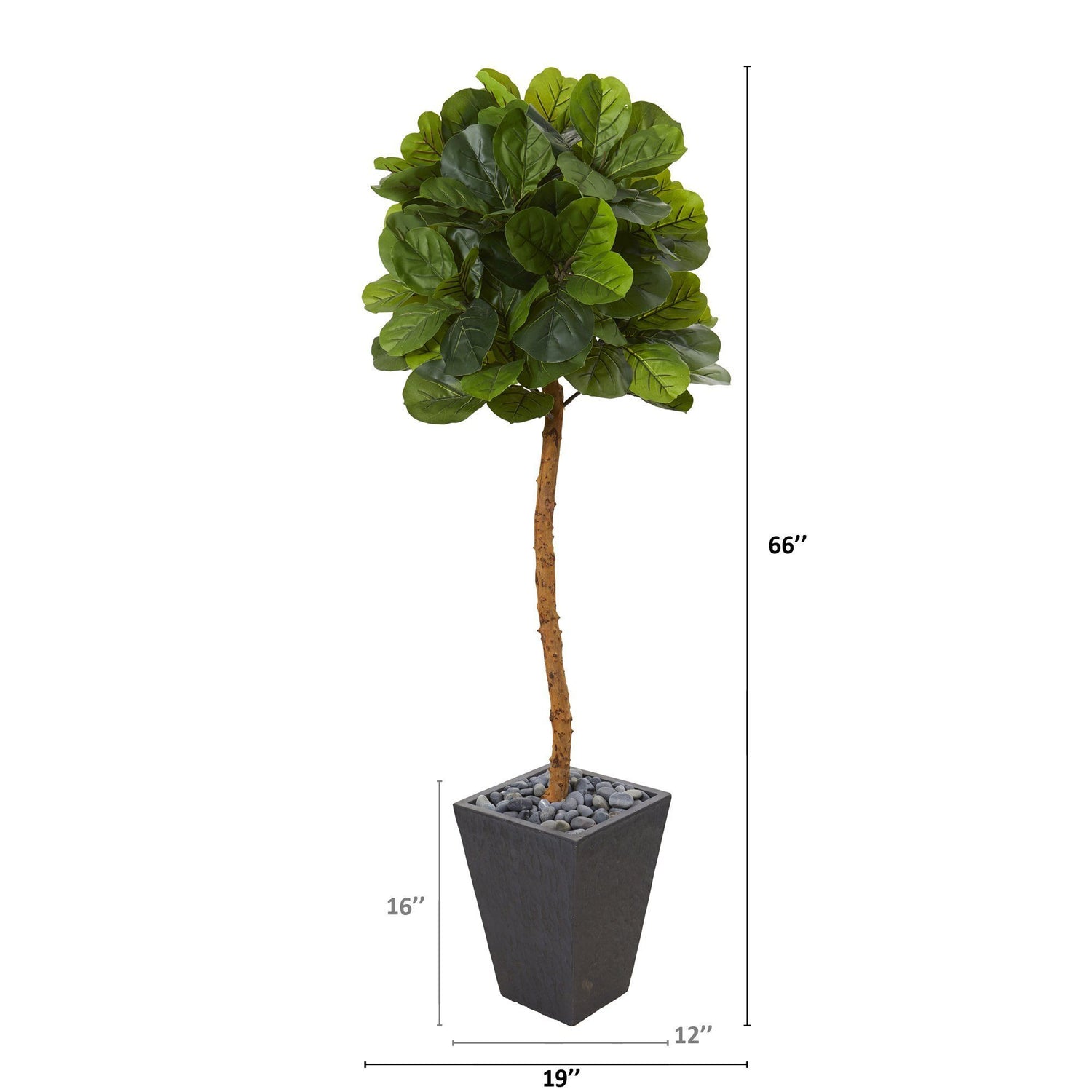 5.5’ Fiddle Leaf Artificial Tree in Slate Planter (Real Touch)
