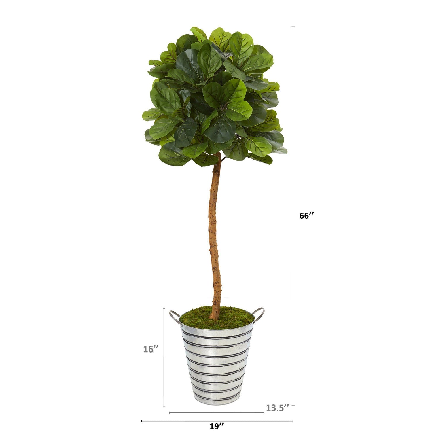 5.5’ Fiddle Leaf Artificial Tree in Tin Bucket (Real Touch)
