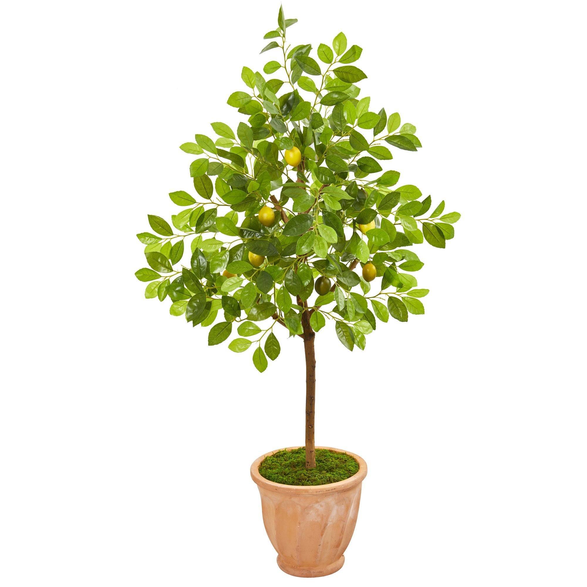 55 Lemon Artificial Tree in Terra Cotta Planter | Nearly Natural