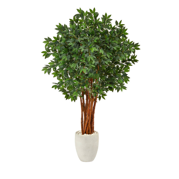 5.5’ Lychee Artificial Tree in White Planter
