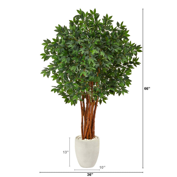 5.5’ Lychee Artificial Tree in White Planter