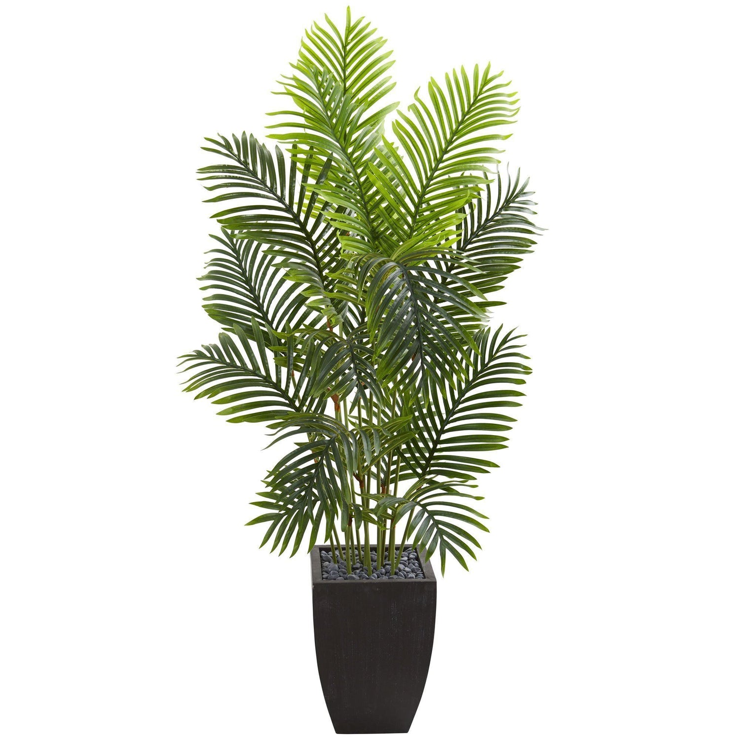 5.5’ Paradise Palm Artificial Tree in Square Planter
