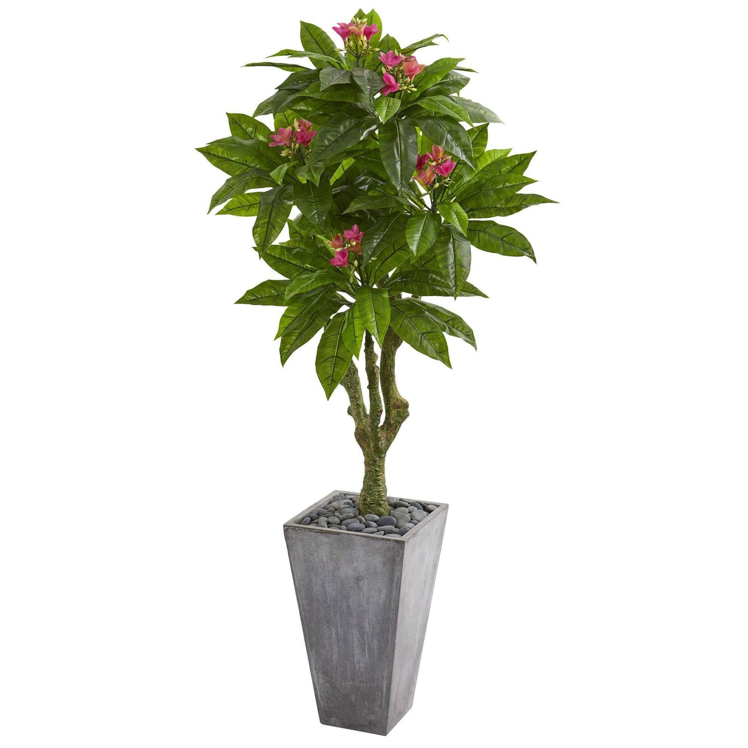 5.5’ Plumeria Artificial Tree in Gray Planter ( Indoor/Outdoor)