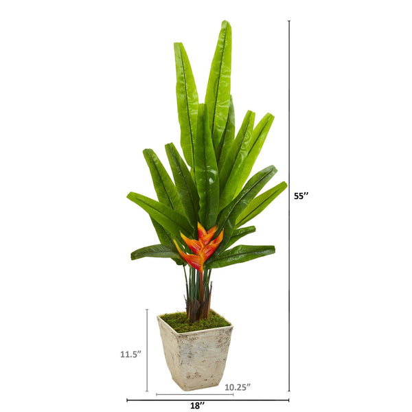 55” Traveler's Palm Artificial Tree in Country White Planter