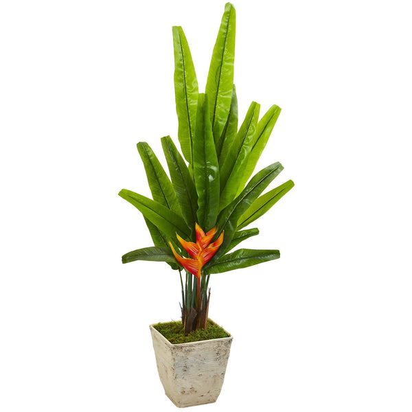 55” Traveler's Palm Artificial Tree in Country White Planter