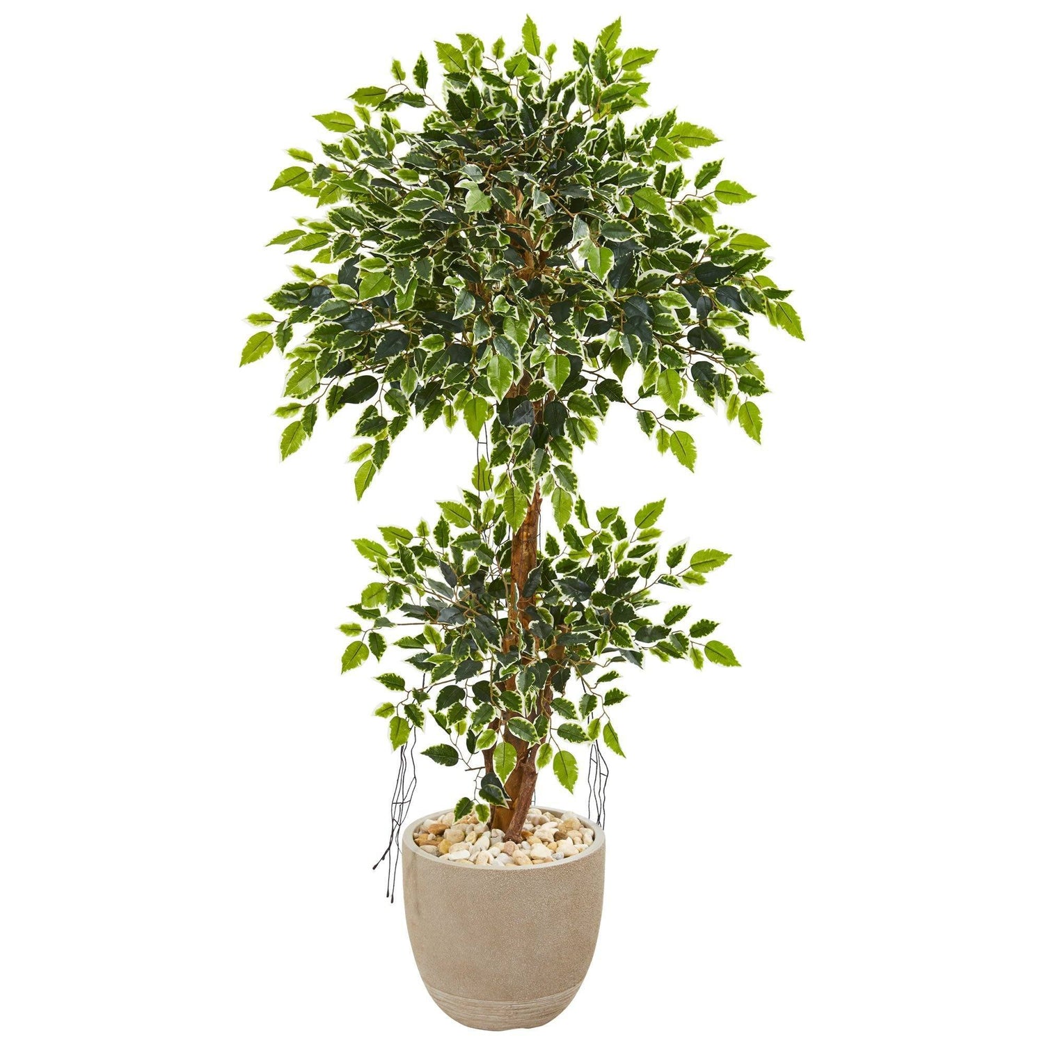 55” Variegated Ficus Artificial Tree in Sandstone Planter