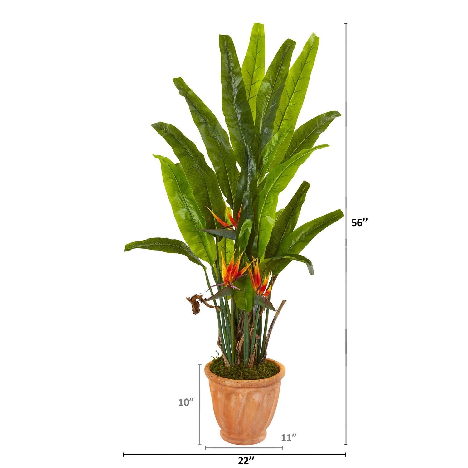 56” Bird of Paradise Artificial Plant in Terra-Cotta Planter