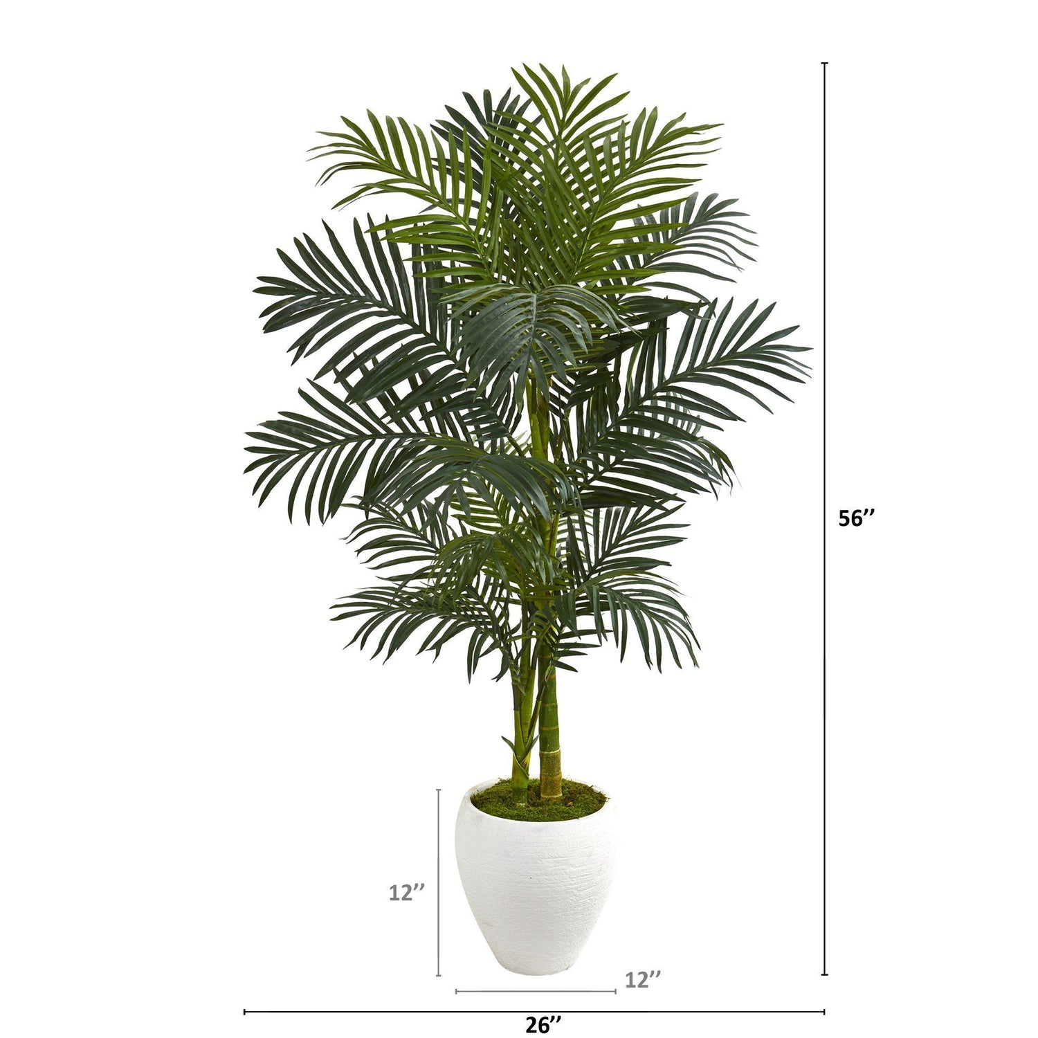 56” Golden Cane Artificial Palm Tree in White Planter