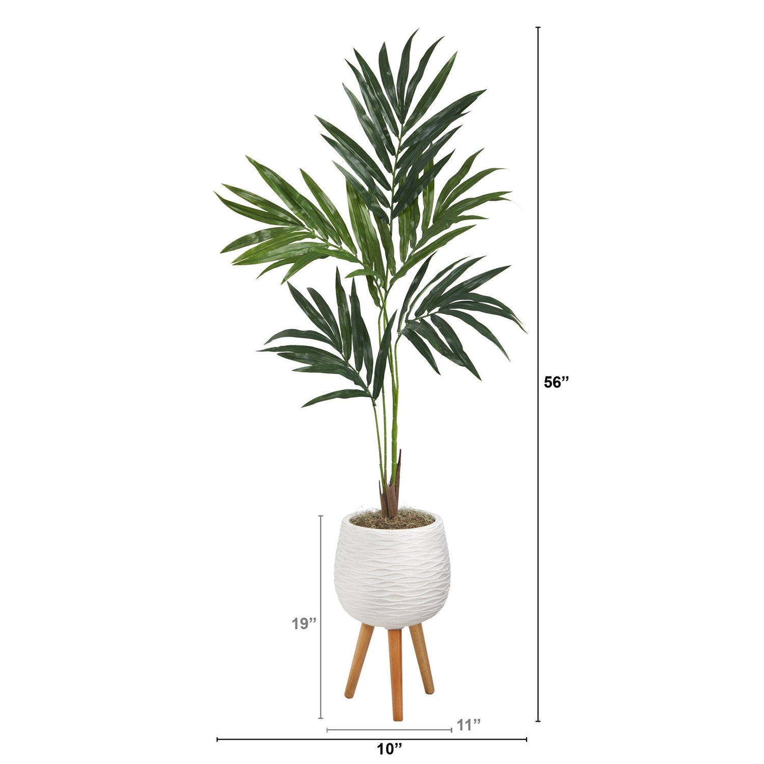 56” Kentia Artificial Palm Tree in White Planter with Stand
