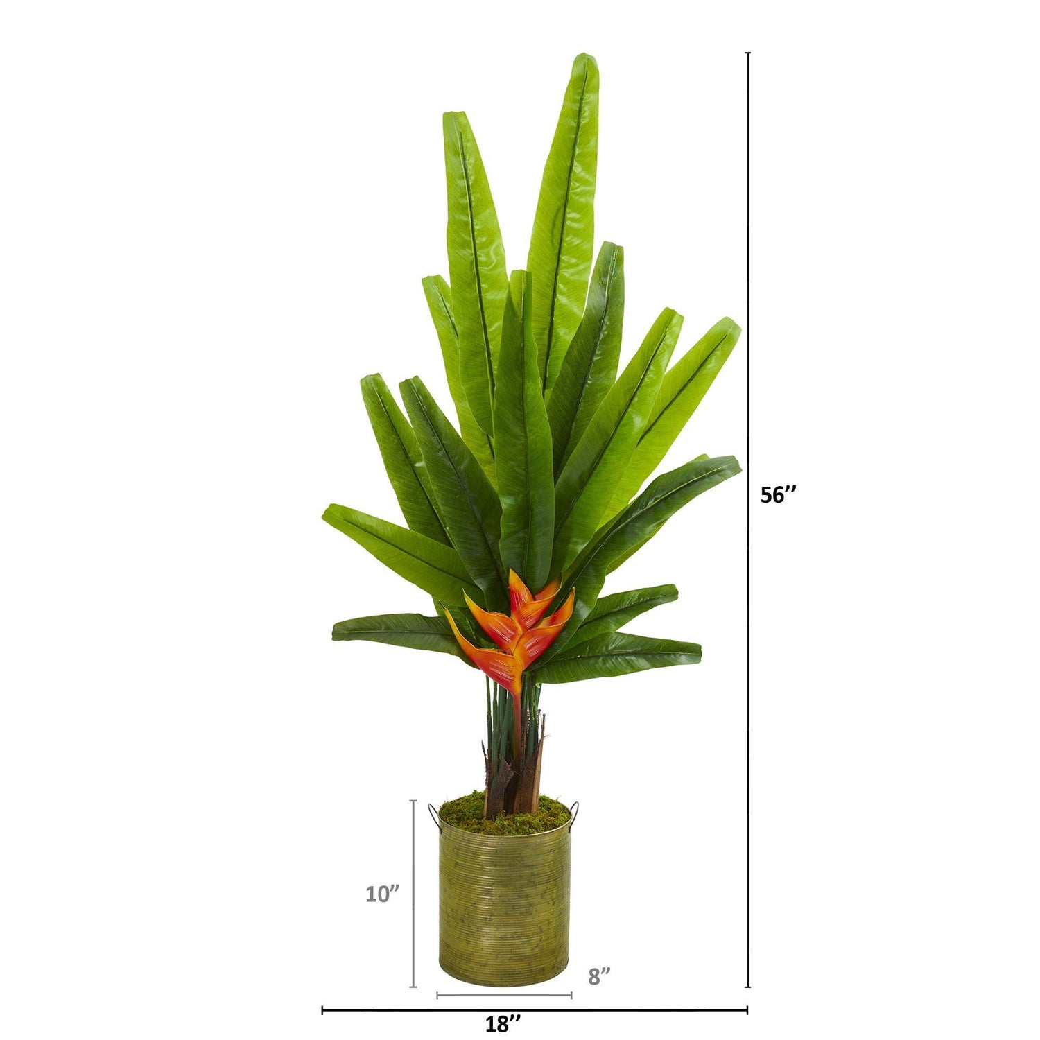 56” Traveler's Palm Artificial Tree in Green Planter