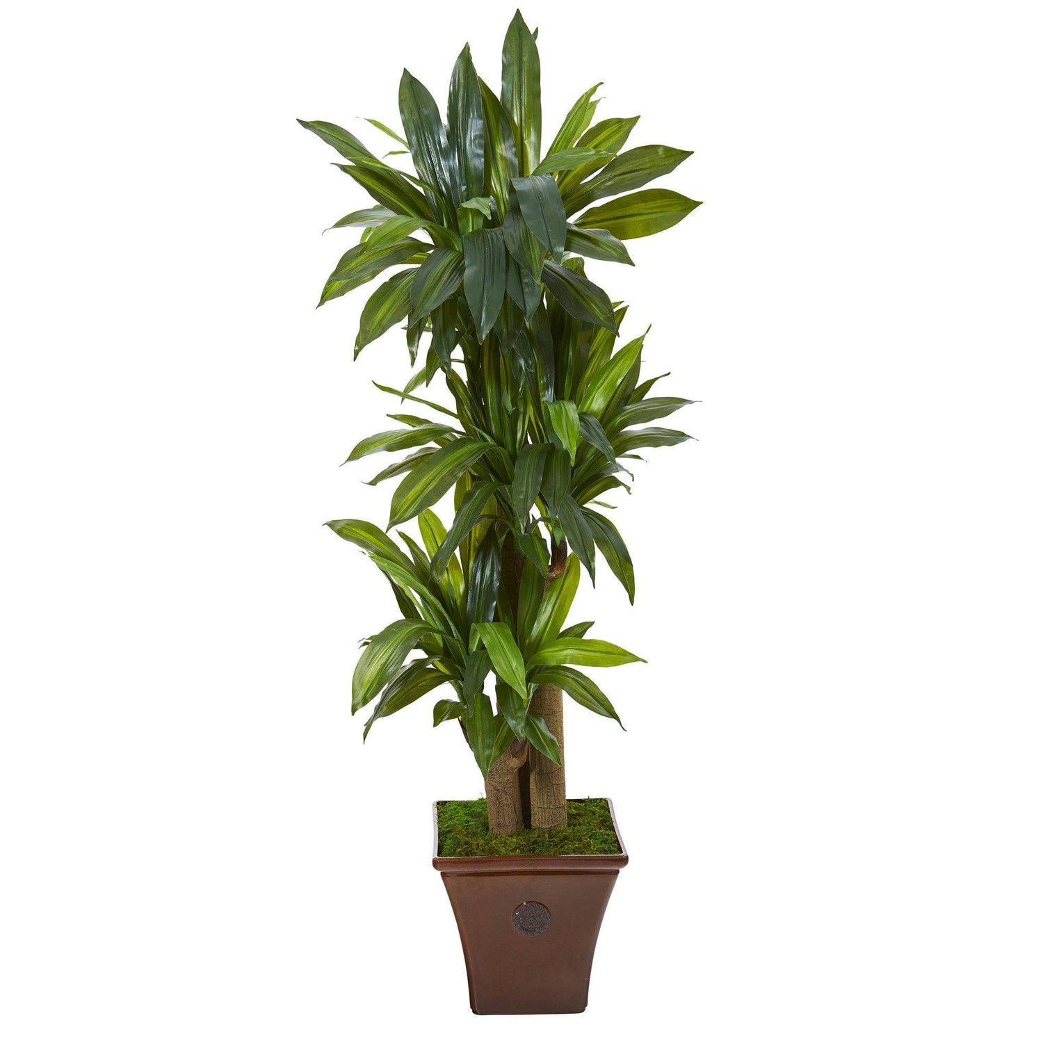 57” Corn Stalk Dracaena Artificial Plant in Brown Planter (Real Touch)