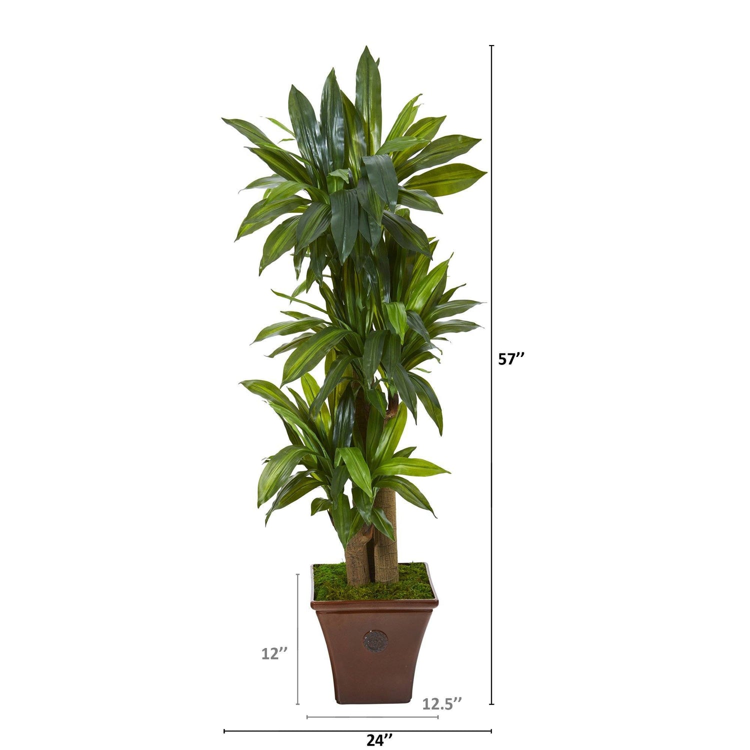 57” Corn Stalk Dracaena Artificial Plant in Brown Planter (Real Touch)