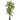 6' Areca Palm Silk Artificial Tree