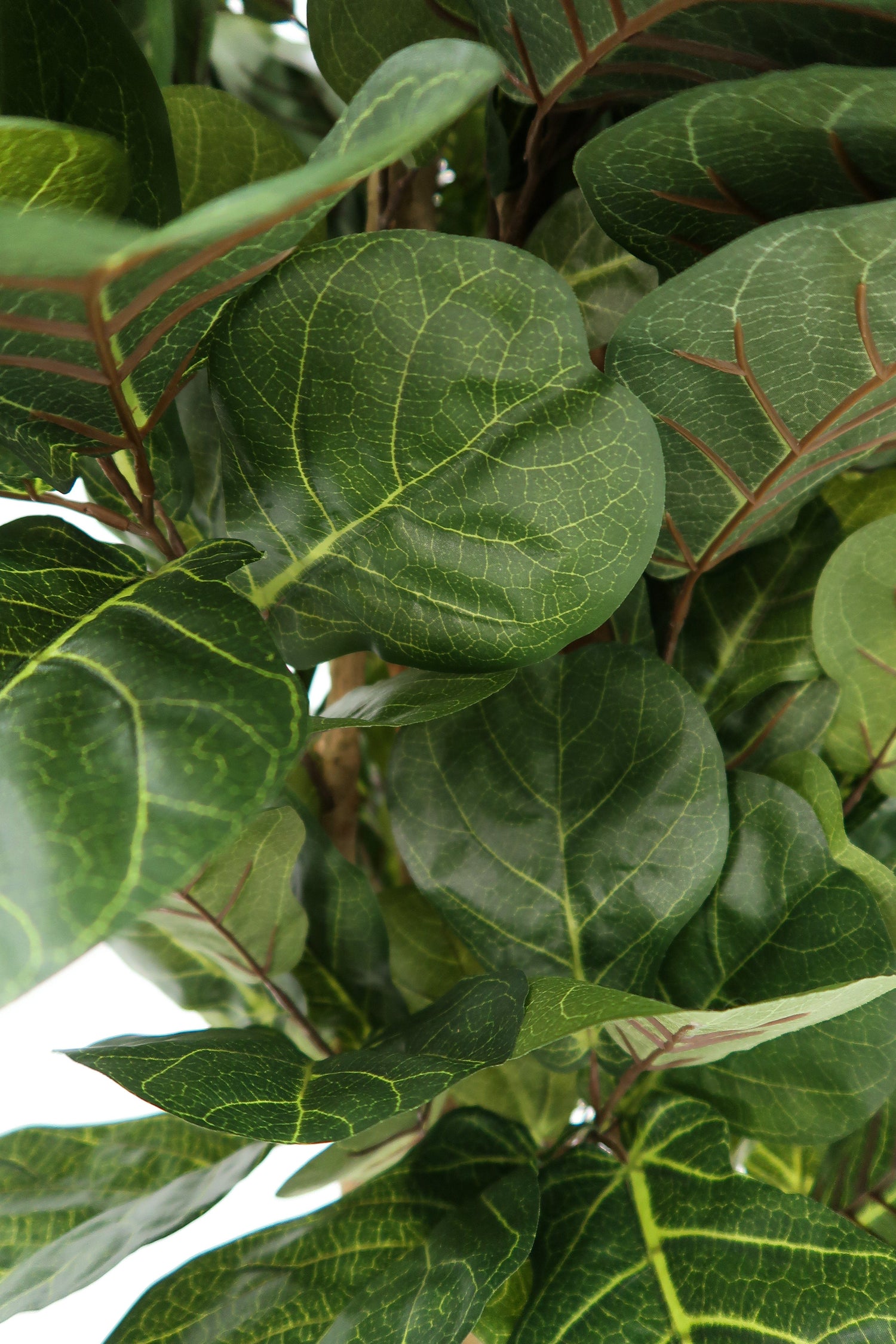6’ Artificial Fiddle Leaf Fig Tree