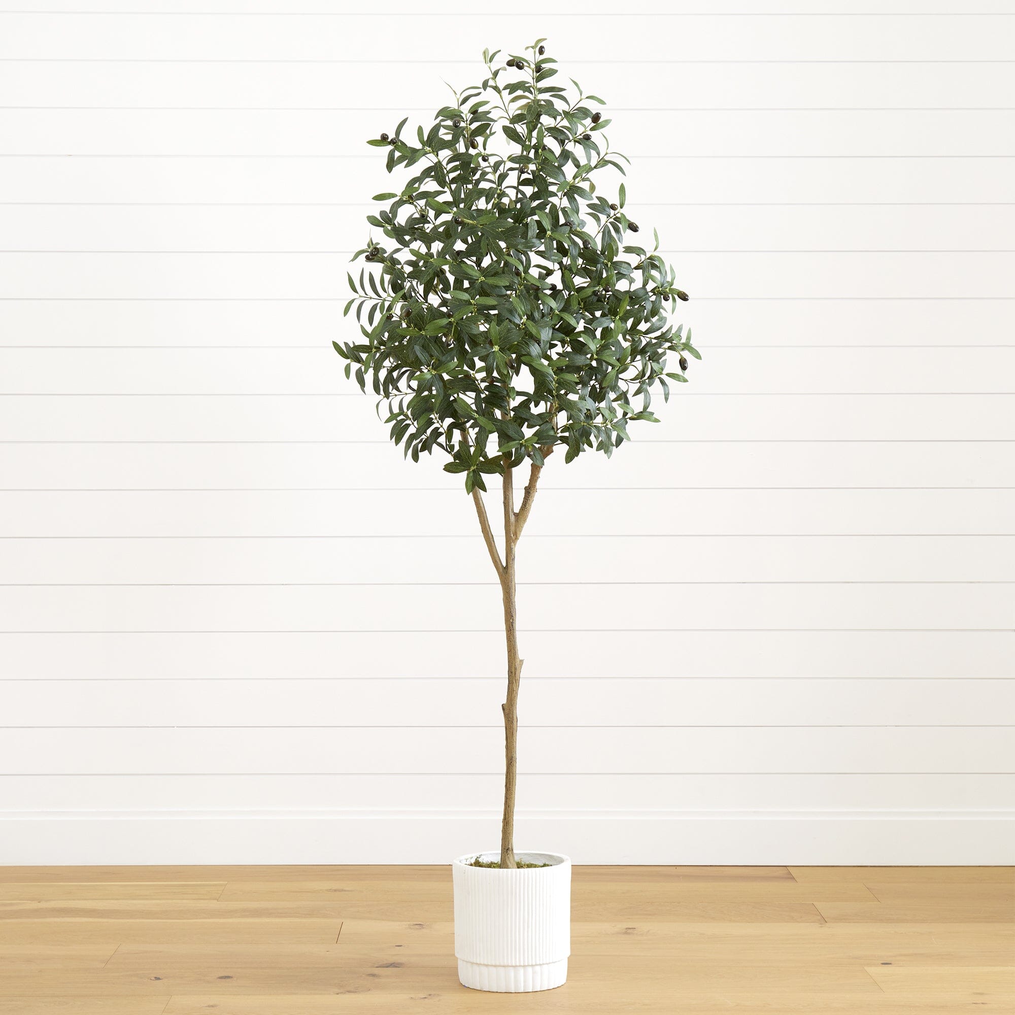 6' Artificial Olive Tree with White Decorative Planter | Nearly
