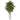 6' Bamboo Artificial Tree in White Tower Planter