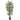 6' Bamboo Silk Tree (Green Trunks)