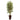 6’ Bamboo Tree w/Decorative Planter