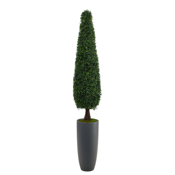 6’ Boxwood Topiary Artificial Tree in Gray Planter (Indoor/Outdoor)