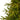 Artificial Christmas Tree