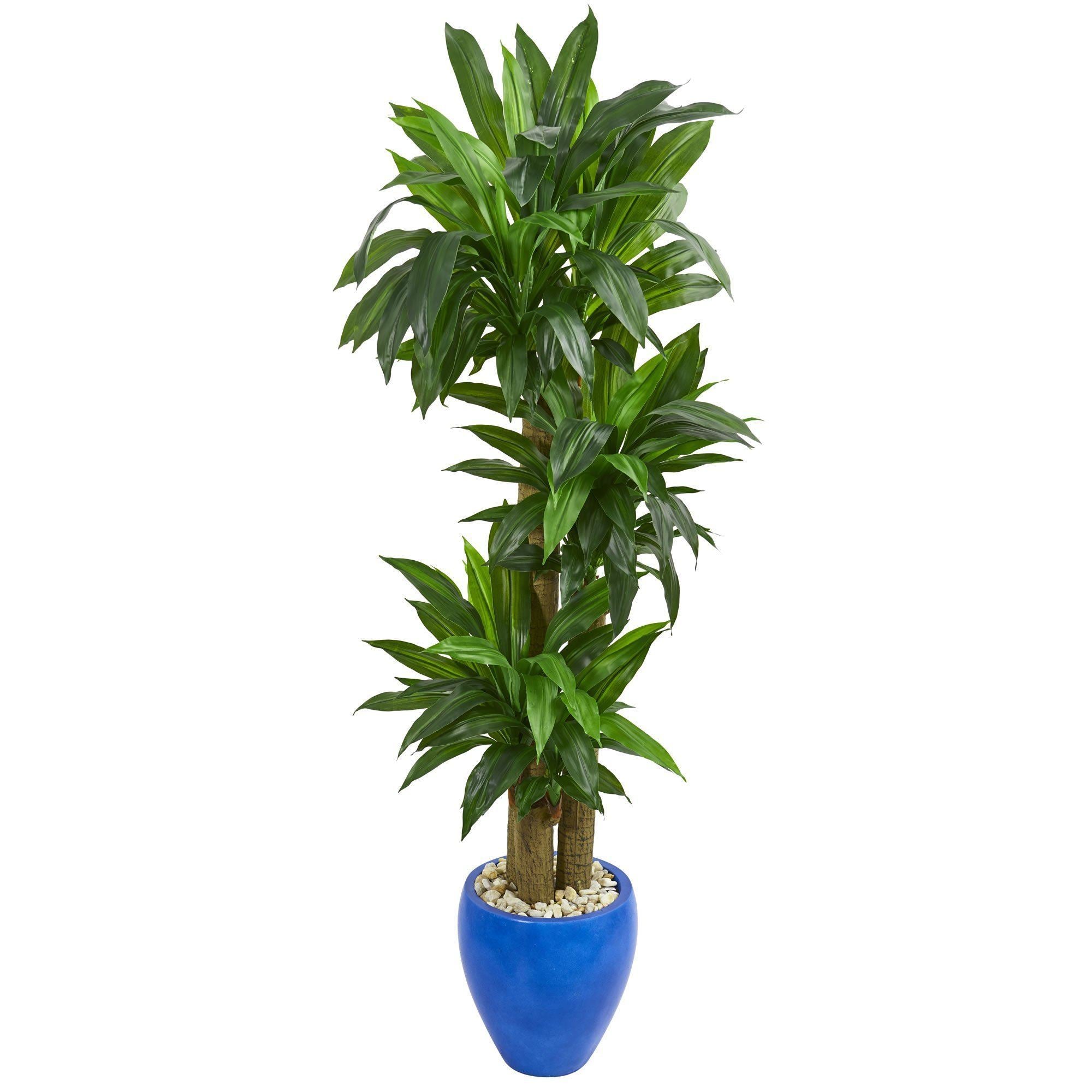 artificial plant in blue pot 5.5’ Cornstalk Dracaena Artificial Plant in Blue Planter (Real Touch)