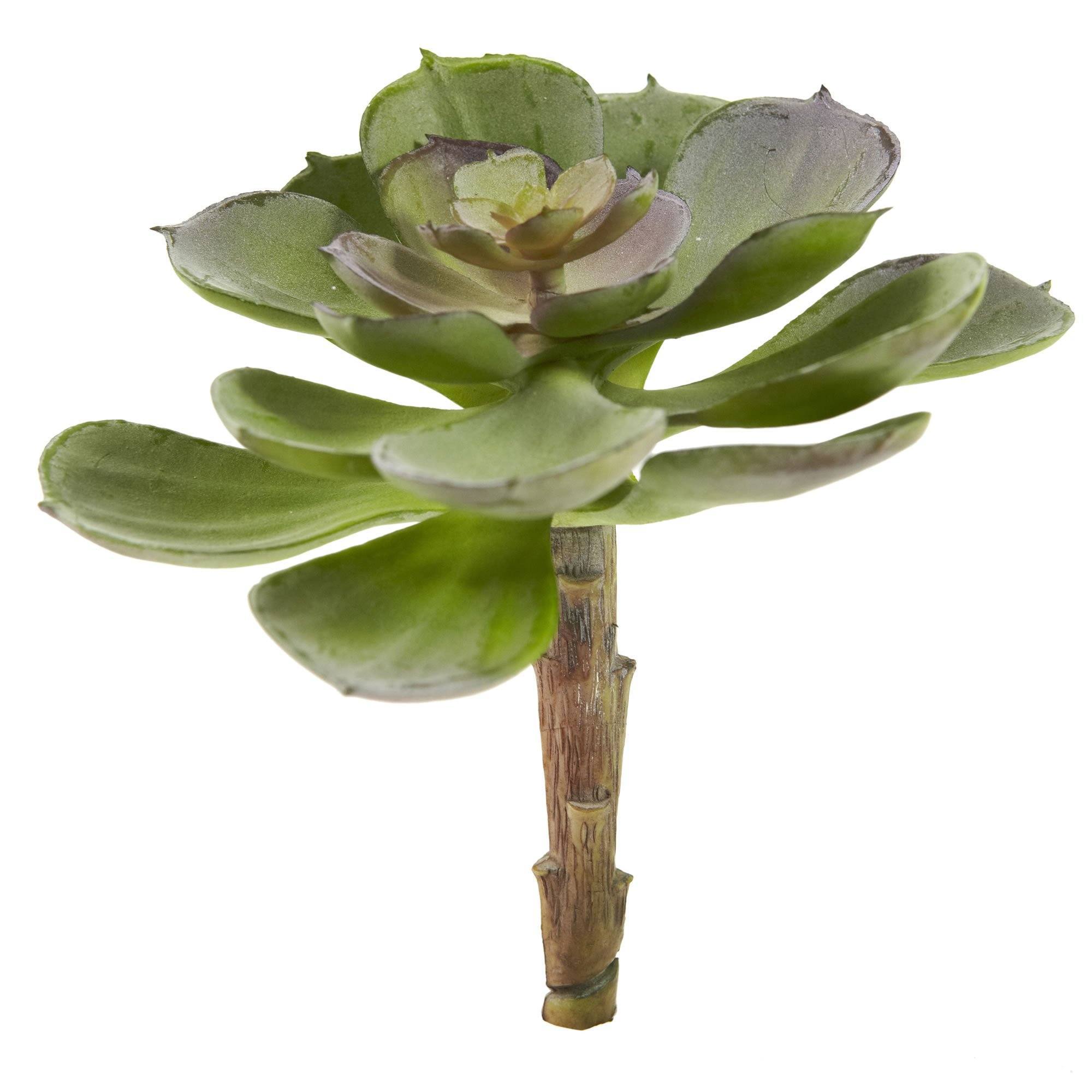 artificial succulent plants uk Nearly Natural 5" Echeveria Succulent Plant, Set of 12