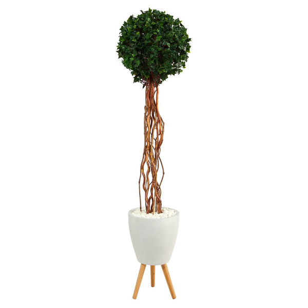6’ English Ivy Single Ball Artificial Topiary Tree in White Planter with Stand (Indoor/Outdoor)